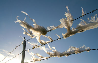 Blowing in the wind