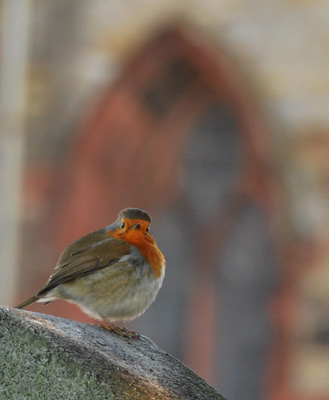 Round robin