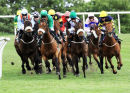 Last furlong