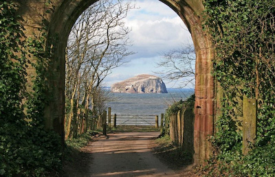 Bass rock from Seacliff