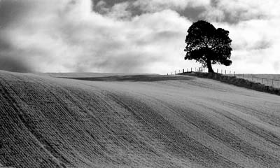 On Byre hill