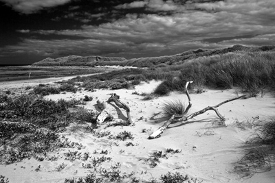 Lindisfarne 1