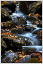 Dunkeld
