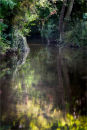 Reflections