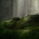 Silver light