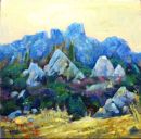 Boquer Valley Vision