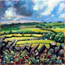 South Tyne Valley Landscape