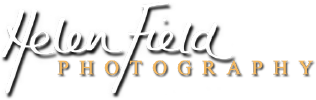 Wedding Photographer Gloucester