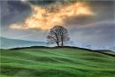 LANDSCAPES
