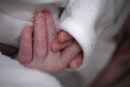 Tiny Hands!!