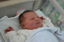 Babys here!!