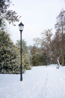 Abington Park in the snow