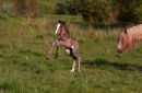 Dance for your mummy