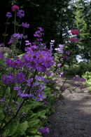 Aberglasney Garden