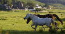 Ogmore Castle