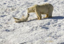 Playing with mum
