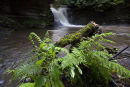 Waterfall at Scwd Clydach
