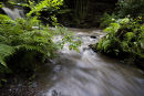 River by Scwd Clydach Waterfall
