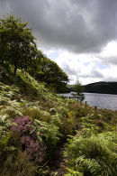 Elan Valley 1