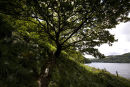 Elan Valley,Powys