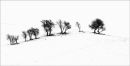 In the bleak mid winter, Welshpool, Powys