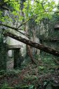 Pembrey Court 