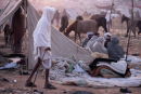 Camel festival, Pushkar, India