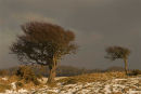 Seatown, Dorset