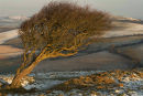 Seatown, Dorset