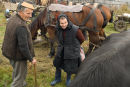 Man and woman looking at a horse at the market, Ocna Sugatag, Maramures, Romania