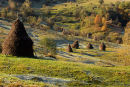 Haystacks on fields in Carpathian Mountains, Maramures, Romania