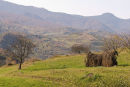 Hay drying, Carpathian Mountains, Romania