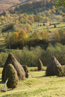Haystacks, Botiza, Romania