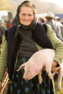 Woman selling pigs at the market, Dragomiresti, Maramures, Romania