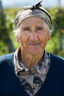 Woman grape picker, Telavi, Kakheti, Georgia