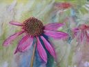 Ech, Ech, Echinacea