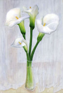 calla vase