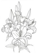 lilies in line