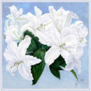 lily cascade