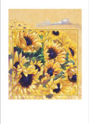 Tuscan sunflowers