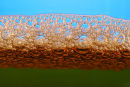 Bubbles