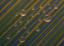 Droplets
