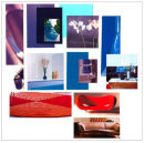 Aesthetique Beauty salon - styling