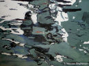 FLOATING II91 x 120cms