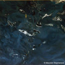 FLOATING I100 x 100cms