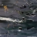 FRAGMENTS IIIOil on Canvas30 x 30 cms£400