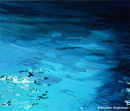 HAPPENSTANCEOil on Canvas50 x 60cm