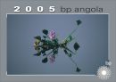 BP Angola 2005 Calendar