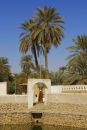 Ghadam's Trip  701