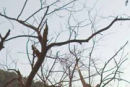 Fragile Earth 04